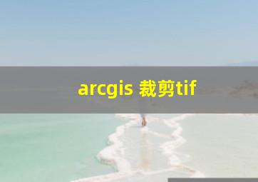 arcgis 裁剪tif